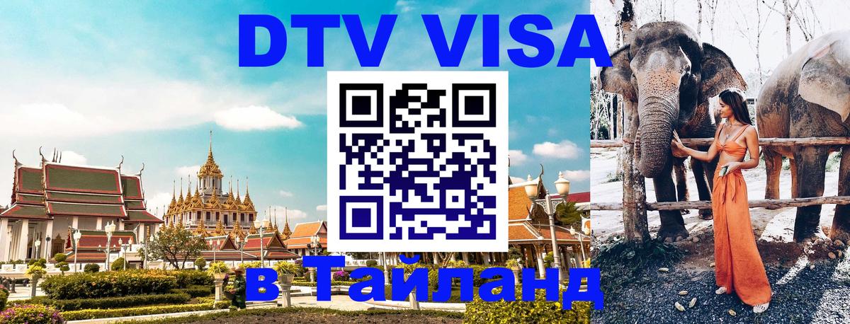Сколько стоит DTV виза — актуальные цены, оформление даже без документов - 19.11.2025 